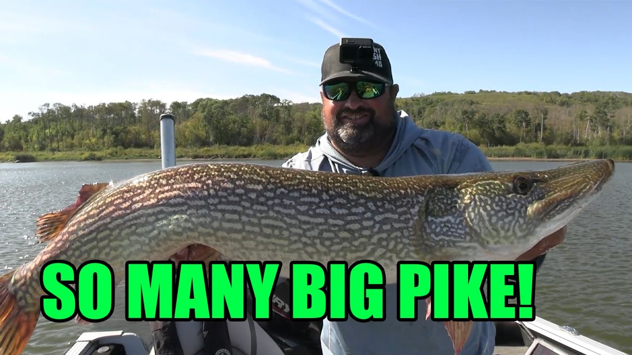 Where has CSO been? | Fishing for BIG PIKE!!