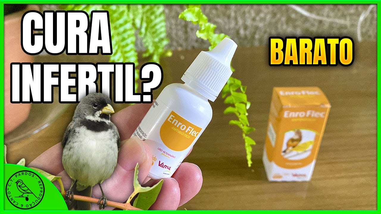 💊COMO E QUANDO USAR O ENRO FLEC ( resolve vários problemas pássaros)