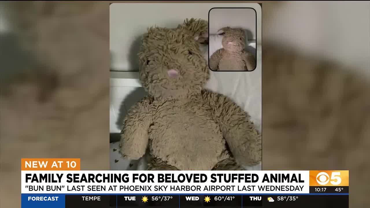 Family looking for beloved stuffed animal lost at Sky Harbor