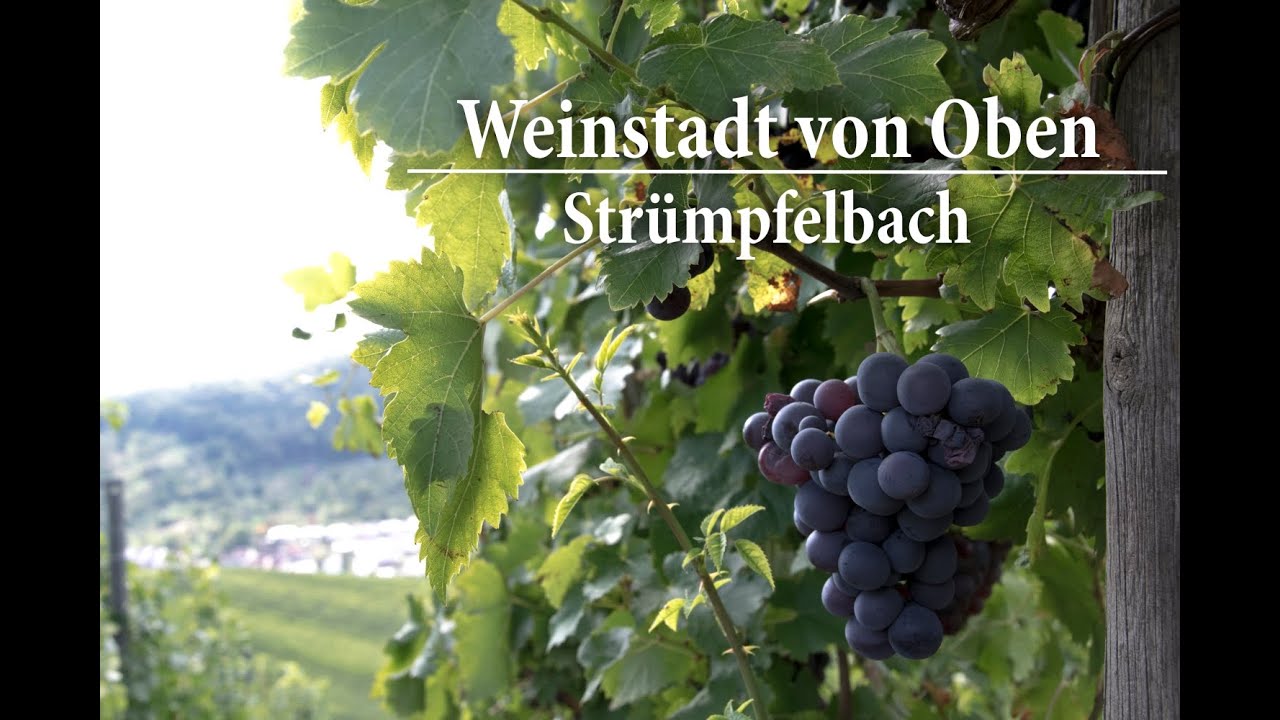 Weinstadt von Oben - Strümpfelbach