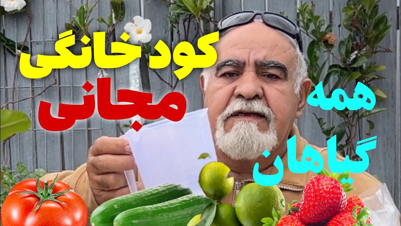 کود و سم خانگی برای گوجه ، خیار، ففل و همه چی در پائین بیشتر بخوانید