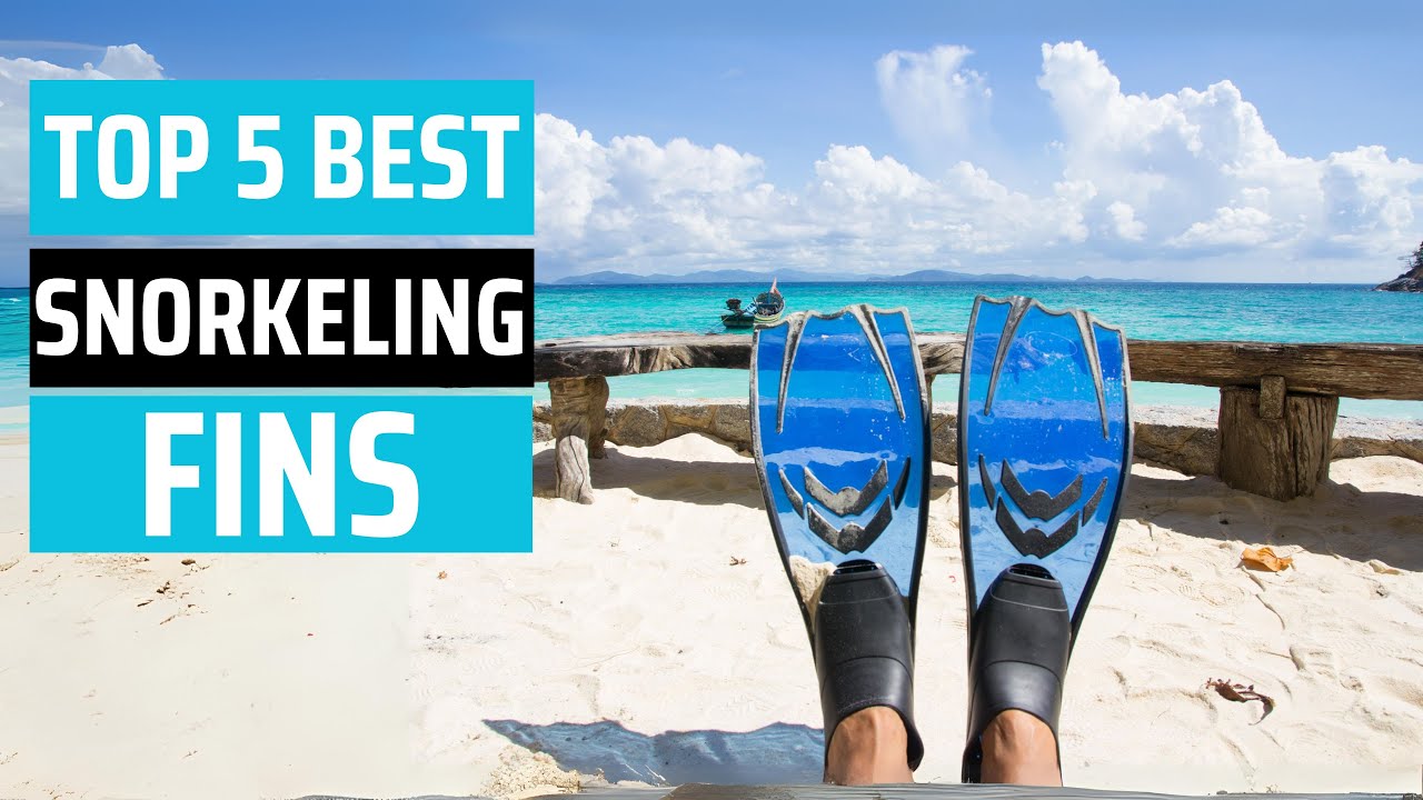 Best Snorkeling Fin 2025 - [don’t buy one before watching this]