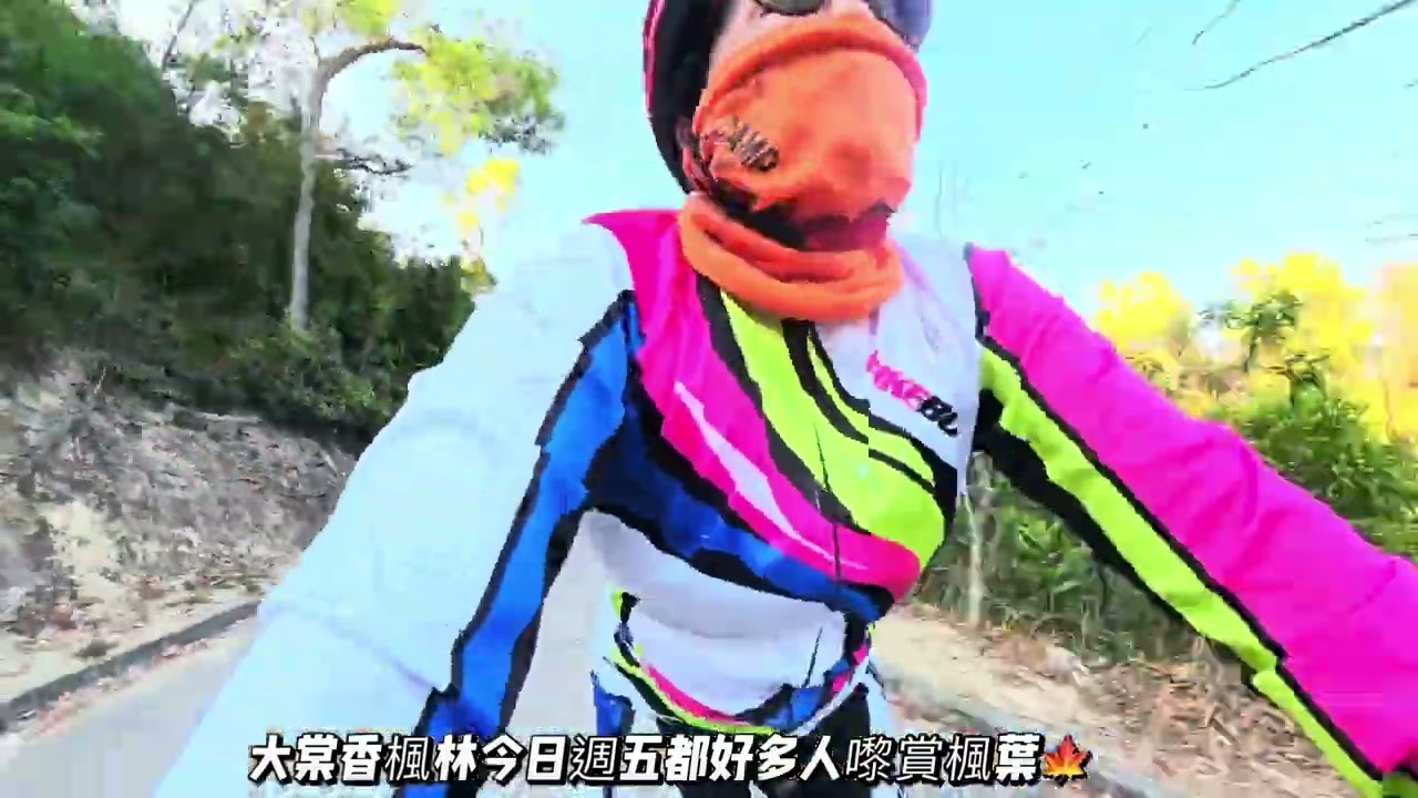 09.01.2026. 下午14:00點岀發踩單車去大棠香楓林來回50.38km單車🍁🚵‍♀️
