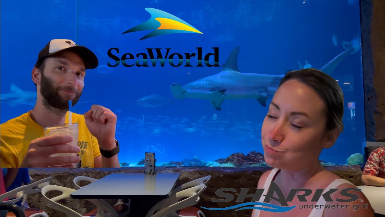 Dining with SHARKS! SeaWorld Orlando's Best Restaurant, Sharks Underwater Grill Review!