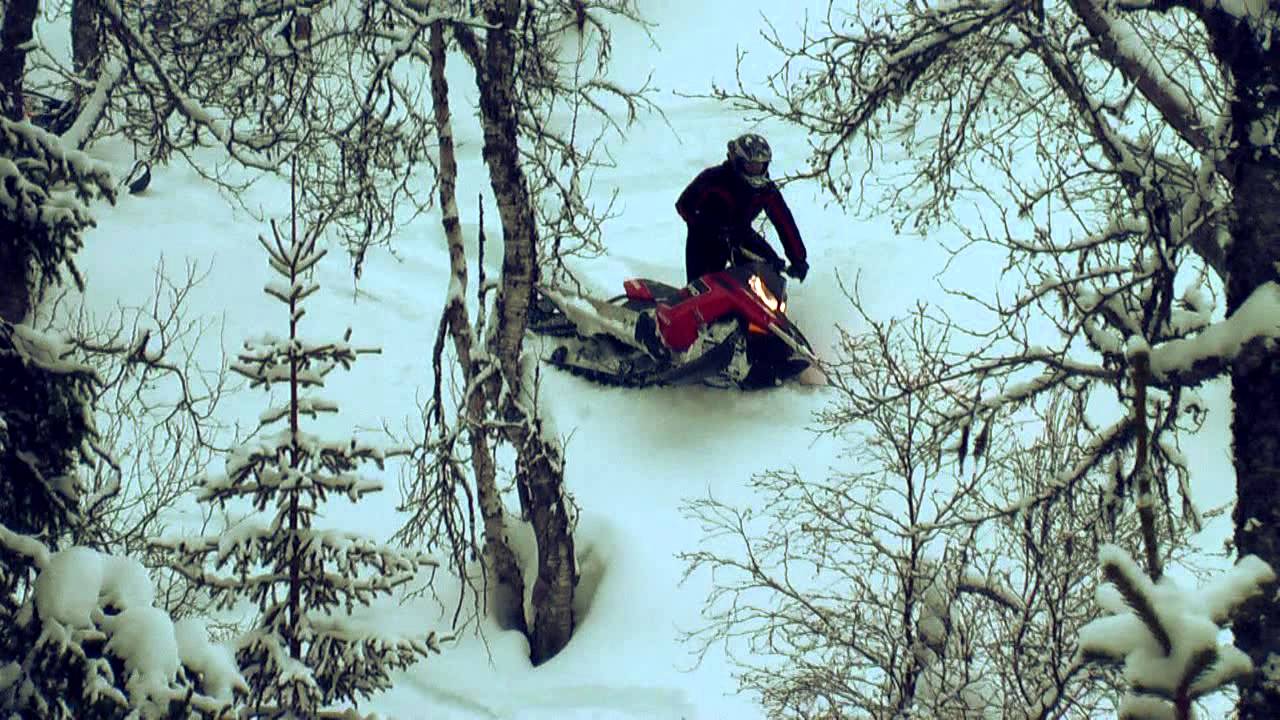 Winter 2012 - Sled Is All
