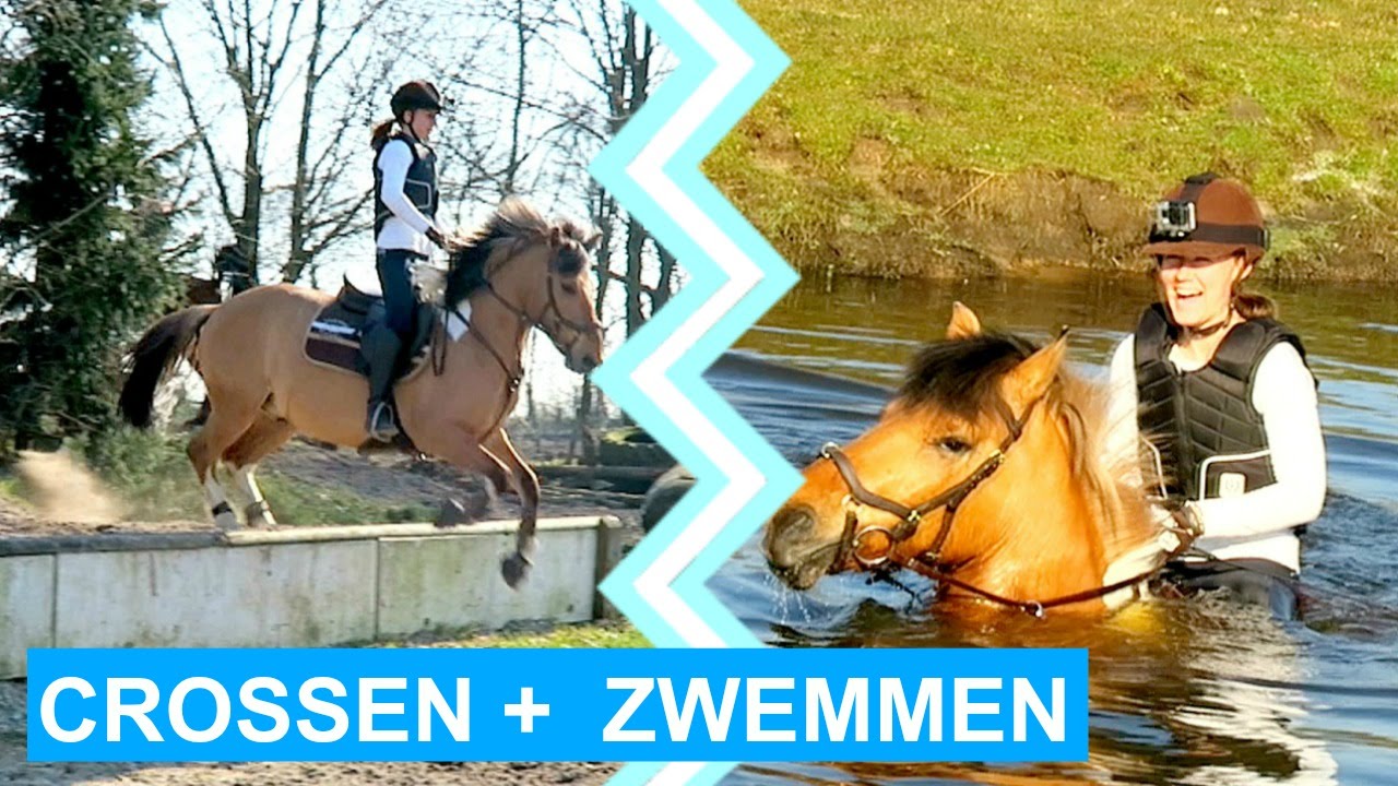 VLOG #19 Crosstraining Lammert Laseur + swimming! | felinehoi