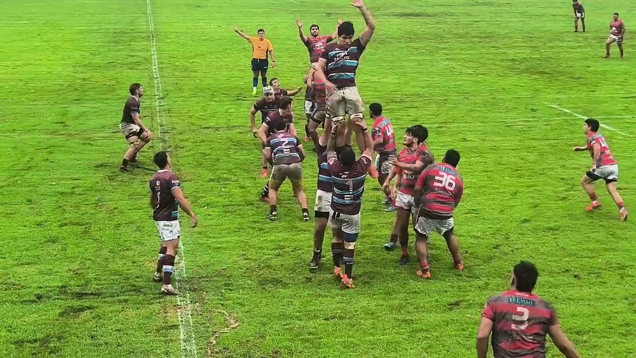 Jockey vs lince (inter)