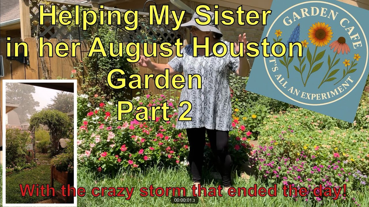 Helping My Sister in Her August Houston Garden Part 2 CRAZY STORM!