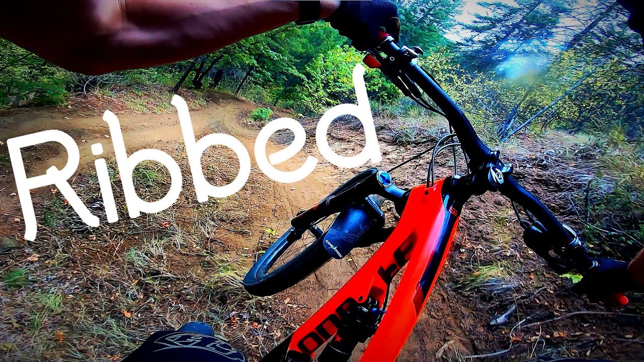 Ribbed Trail - Freund Creek MTB [4K]