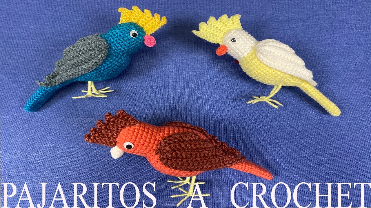 PASO A PASO PARA TEJER PAJARITOS A CROCHET