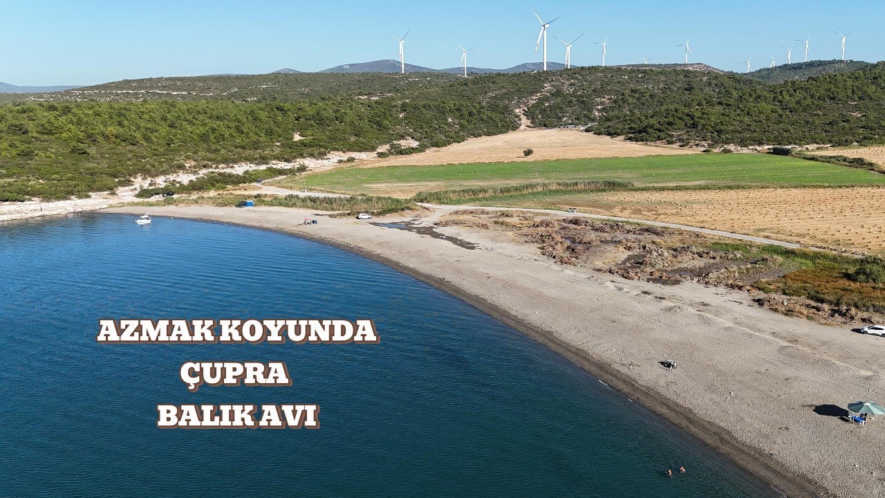 SEFERİHİSAR AZMAK KOYUN'DA ''AK'' ÇUPRA!
