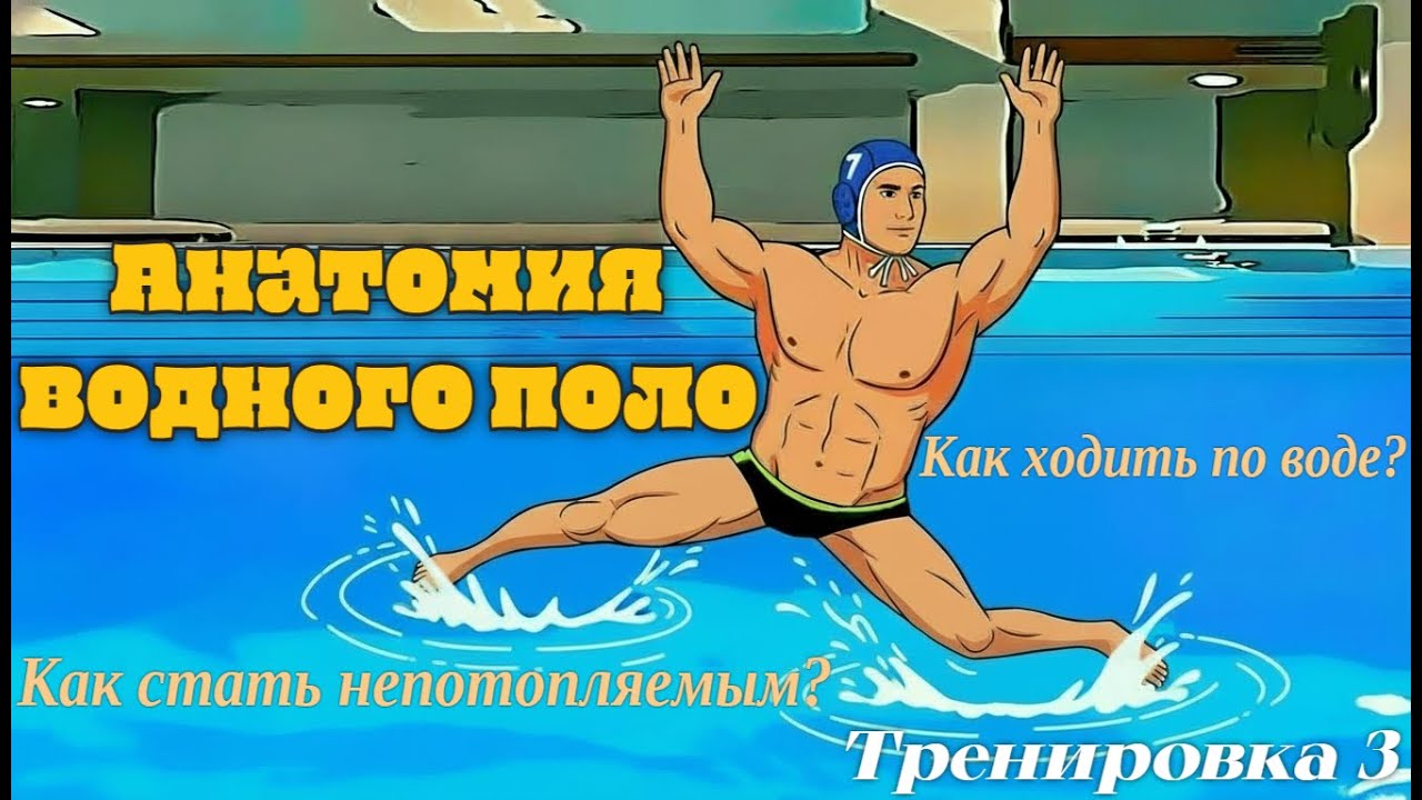 Тренировка 3 ноги попеременно-Анатомия Водного Поло