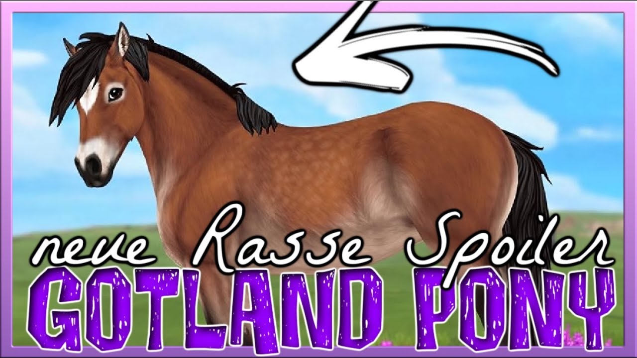 Das neue GOTLAND PONY 🐴💜 Star Stable Spoiler [SSO]