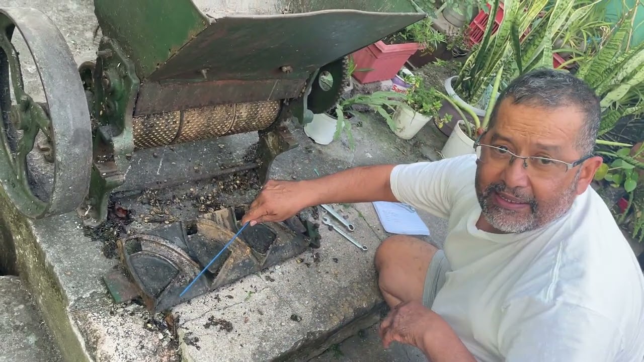 Cómo se diagnóstica un pechero de una despulpadora de cilindro horizontal