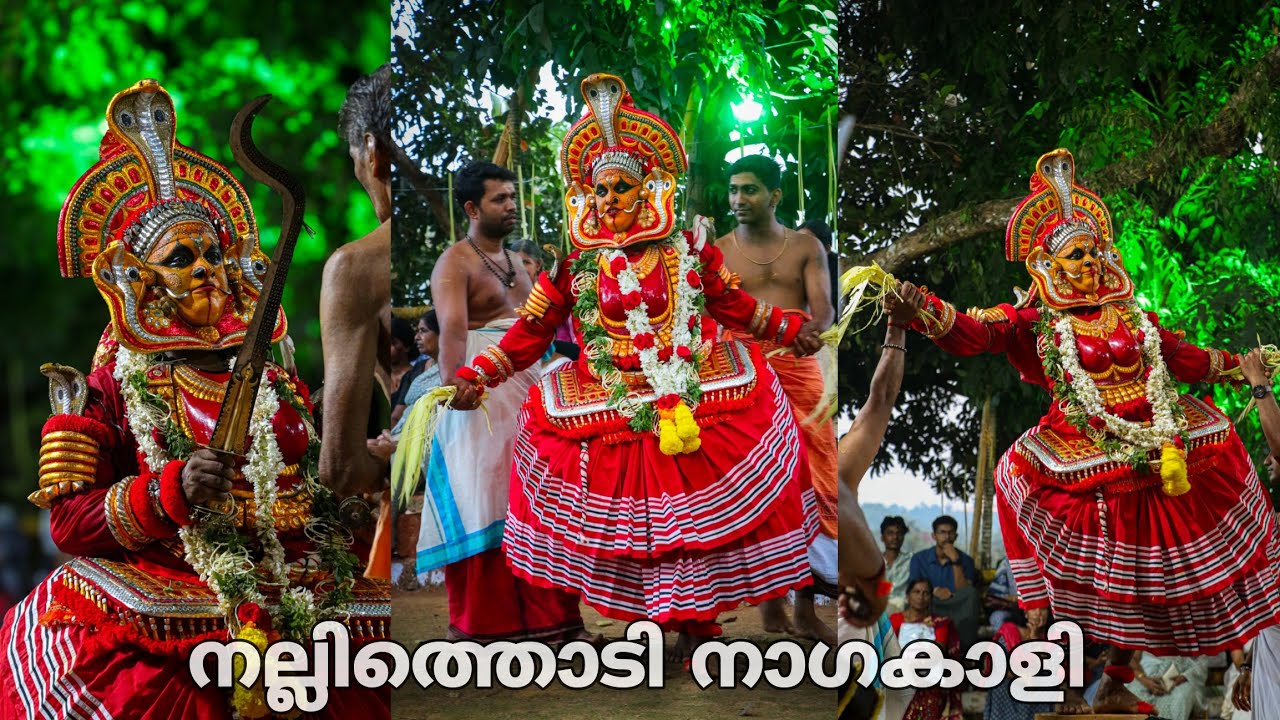 നാഗകാളി തിറ വെള്ളാട്ട്  🐍 NAGAKALI THIRA VELLATT | വെള്ളാട്ട് | തിറ | തെയ്യം