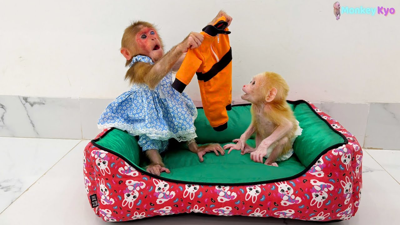 Kyo’s adorable reaction when she sees little monkey BuNa is healthy again!