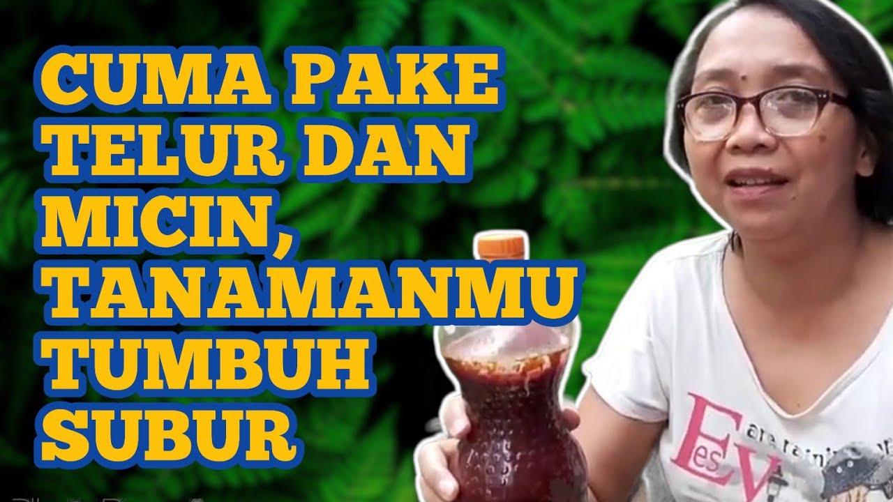 Cara Mengembangkan Bakteri Fotosintetik (PSB) || How to Make Photosynthetic Bacteria at Home