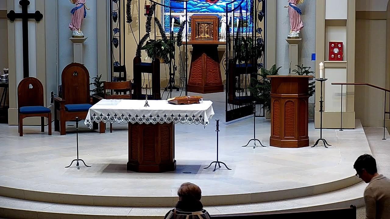 St. Mary's Swormville 2/14/26 4 PM Mass