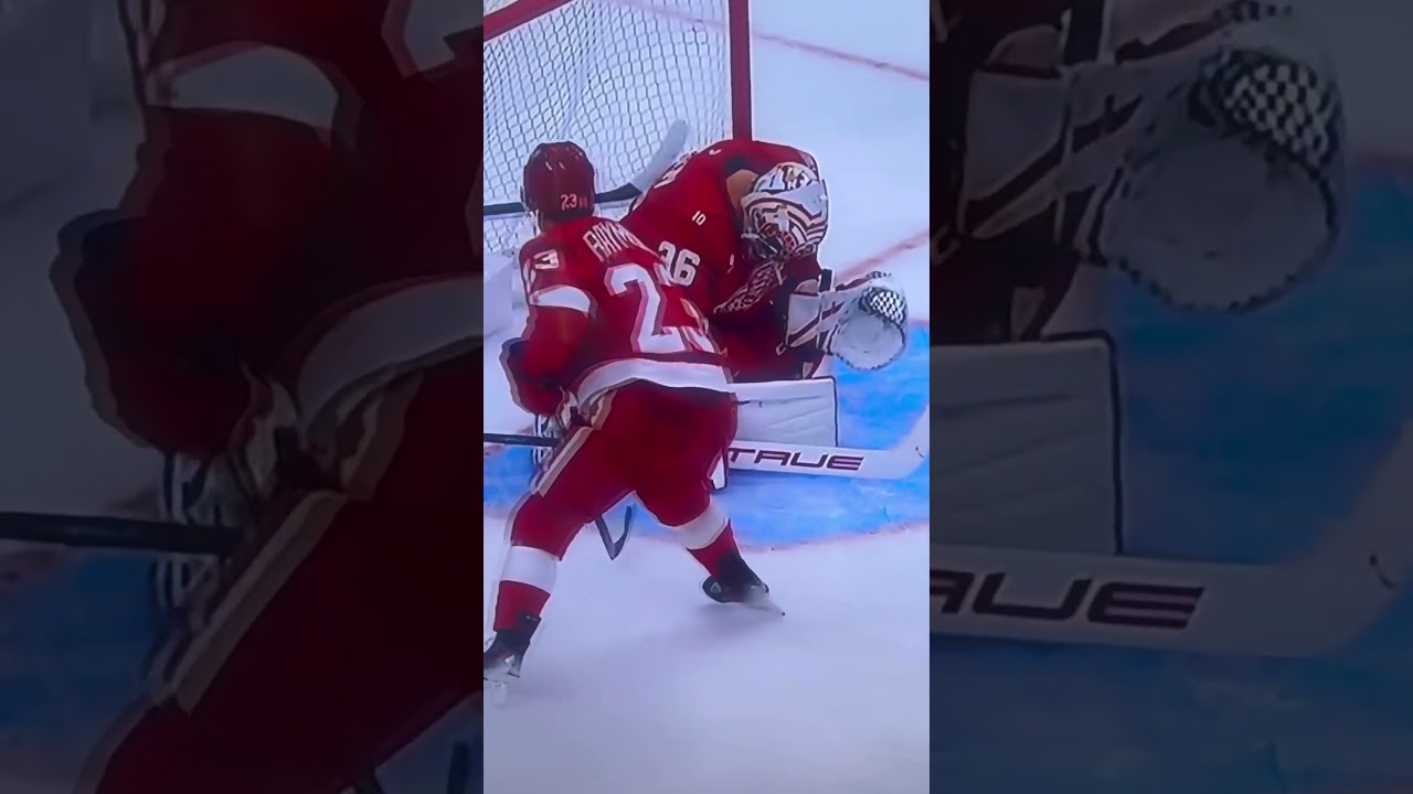 Gibson with the robbery #LGRW #redwings #gibson #NHL #detroitredwings #hockey