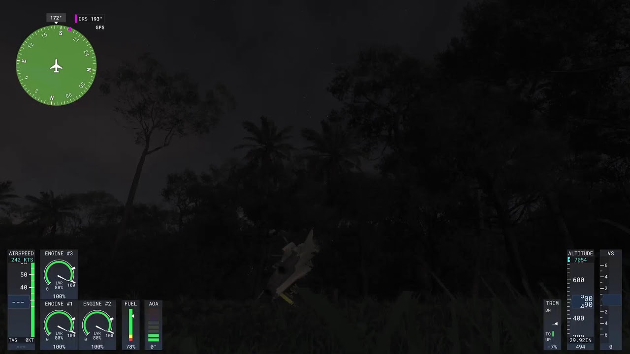 Microsoft Fligth Simulator 2024 - Vôo Livre