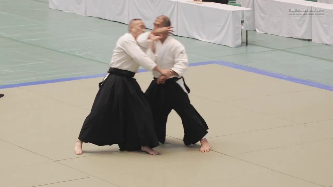 Aikido Horii Etsuji - 56th All Japan Aikido Demonstration 2018