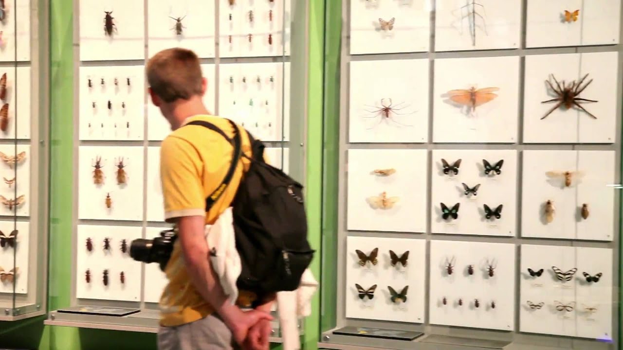 Montr&eacute;al Insectarium   Qu&eacute;bec, Canada