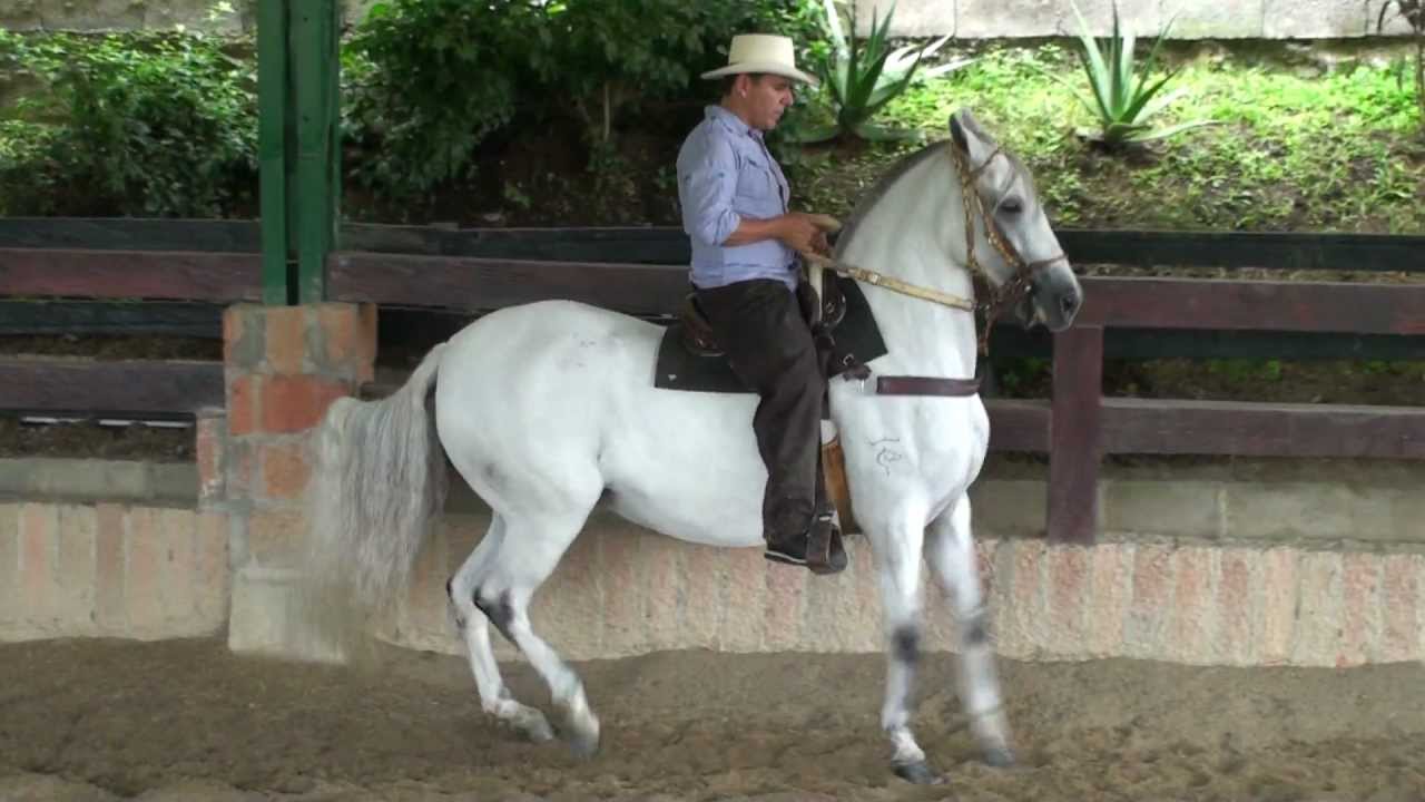 Fragancia Monta Jhon Jairo Tobon Septiembre 2011 Caldas Antioquia