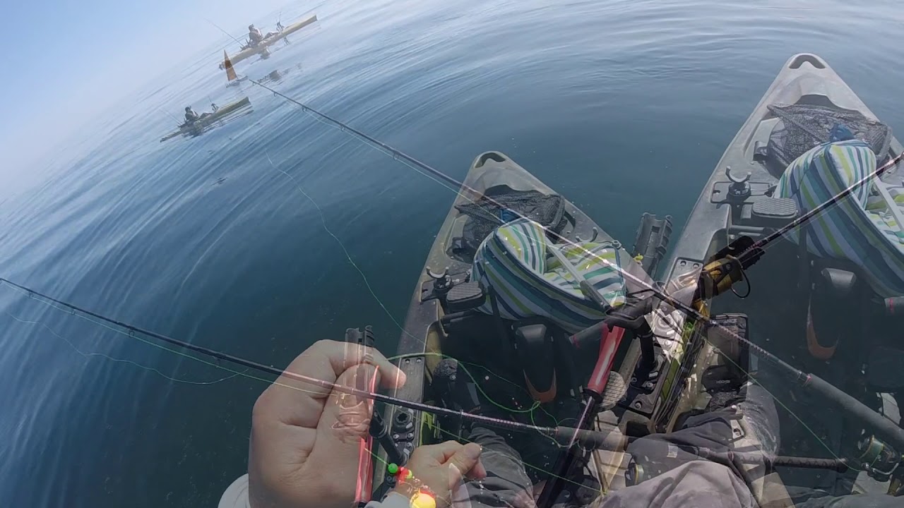 Bank Holiday Weekend 2018 Kayak Fishing Weymouth