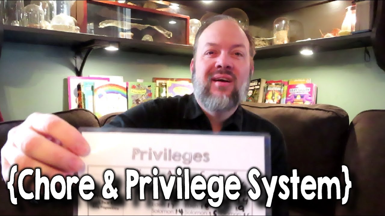 Our Updated Chore and Privilege System