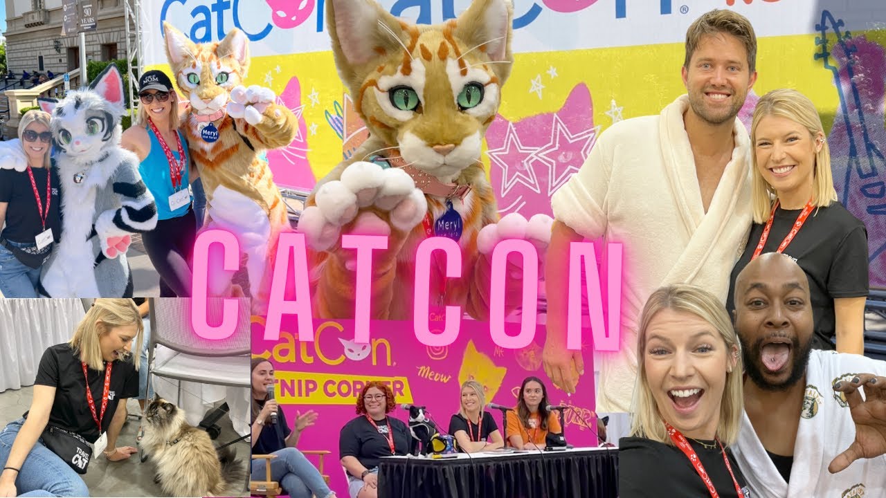 MY CATCON EXPERIENCE: Highlights from the Best Cat Convention you'll ever attend!