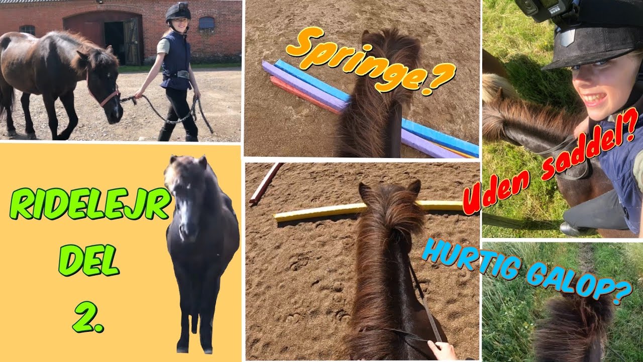 RIDELEJR DEL 2.   {ANDEN DAG} -vi rider uden saddel, spring, og marktur! #GoPro