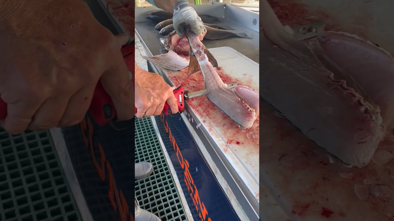 Cleaning Redfish in a Flash