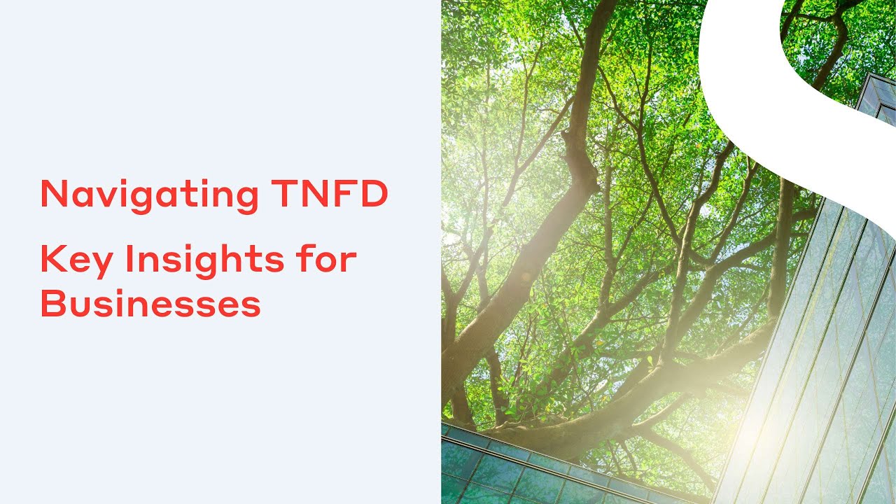Navigating TNFD  Key Insights for Businesses
