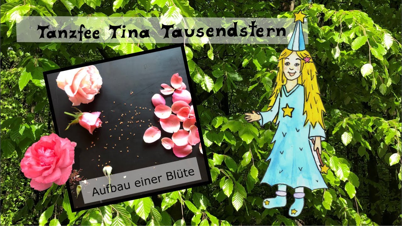 Aufbau einer Bl&uuml;te - Wissen f&uuml;r Kinder 🌺