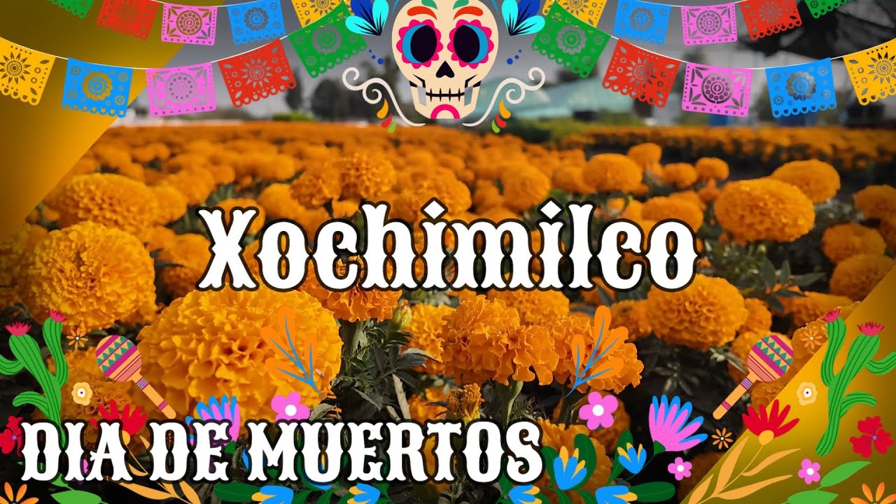 ¡Así se vive el Día de Muertos en Xochimilco! DOCUMENTAL 🎃💀🎃
