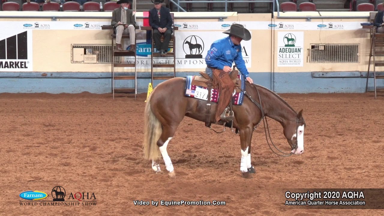 2020 AQHA Junior Reining