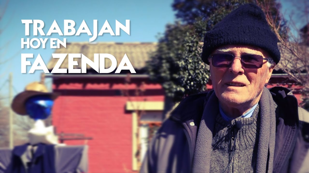 Trabajan hoy en Fazenda /  MONSE