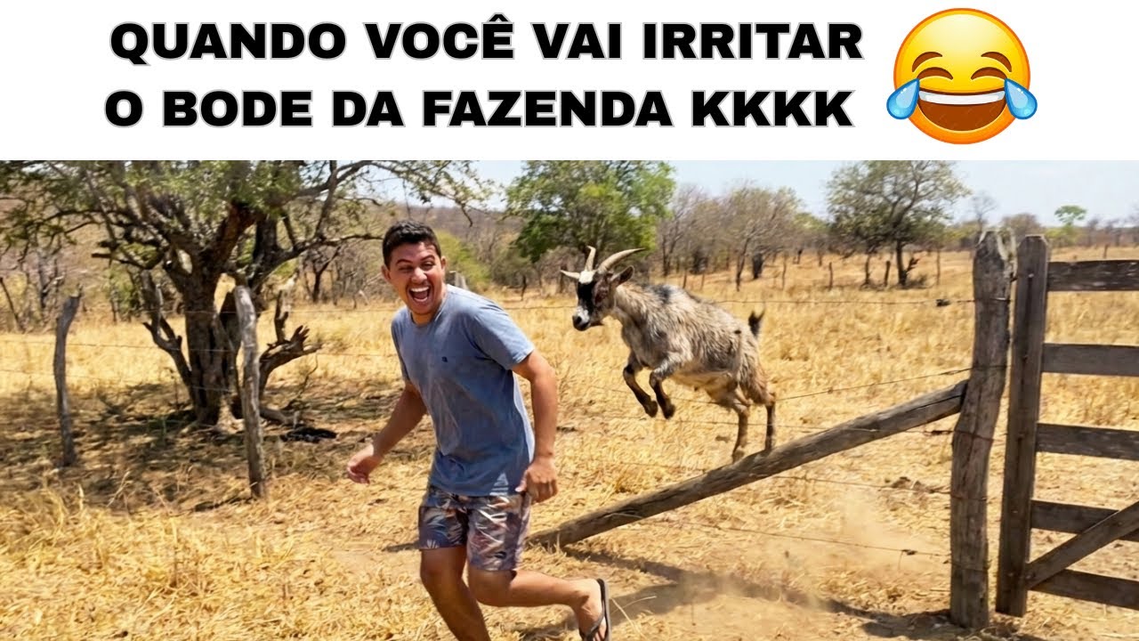 SE LASCOU!! 😂🤣🐐 (TENTE NÃO RIR) memes mais engraçados da internet 