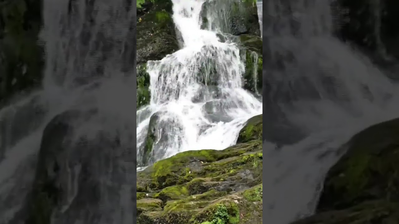 Let the roar of the waterfall soothe your soul #WaterfallWonder #NatureLovers #SerenityNow