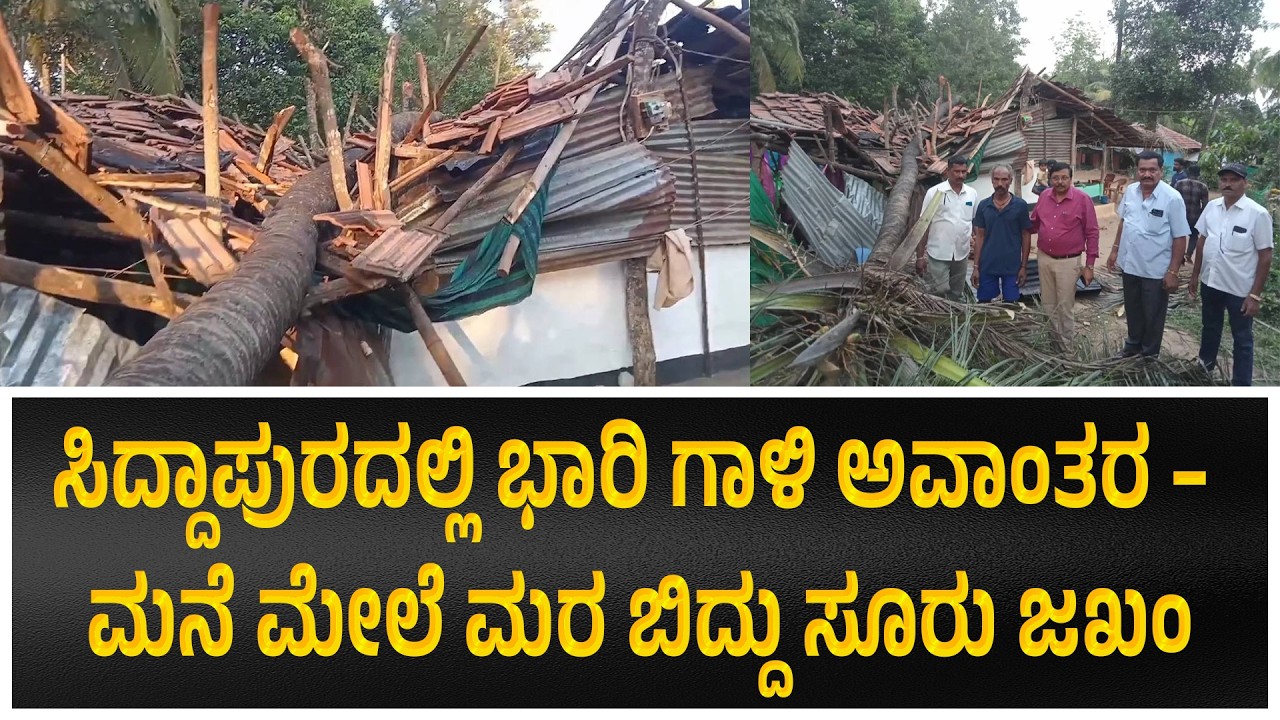 #siddapura : ಸಿದ್ದಾಪುರದಲ್ಲಿ ಭಾರಿ ಗಾಳಿ ಅವಾಂತರ – ಮನೆ ಮೇಲೆ ಮರ ಬಿದ್ದು ಸೂರು ಜಖಂ