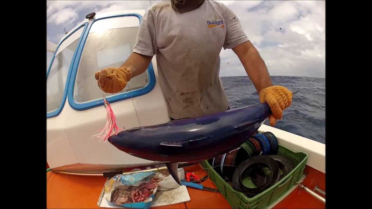 La pêche professionnelle sur dcp (partie 9)