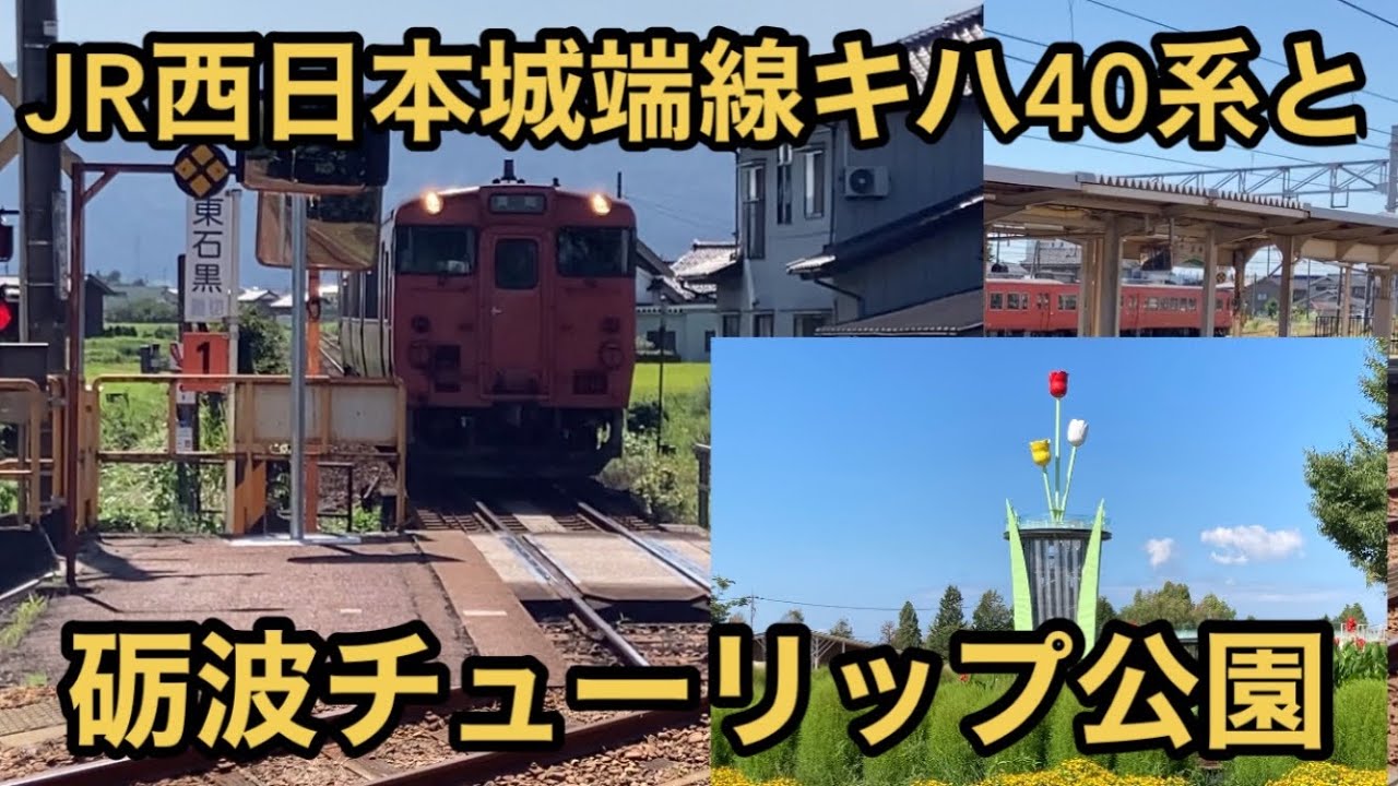【ローカル線を巡る】JR西日本 城端線 キハ40系と砺波チューリップ公園 Toyama Japan