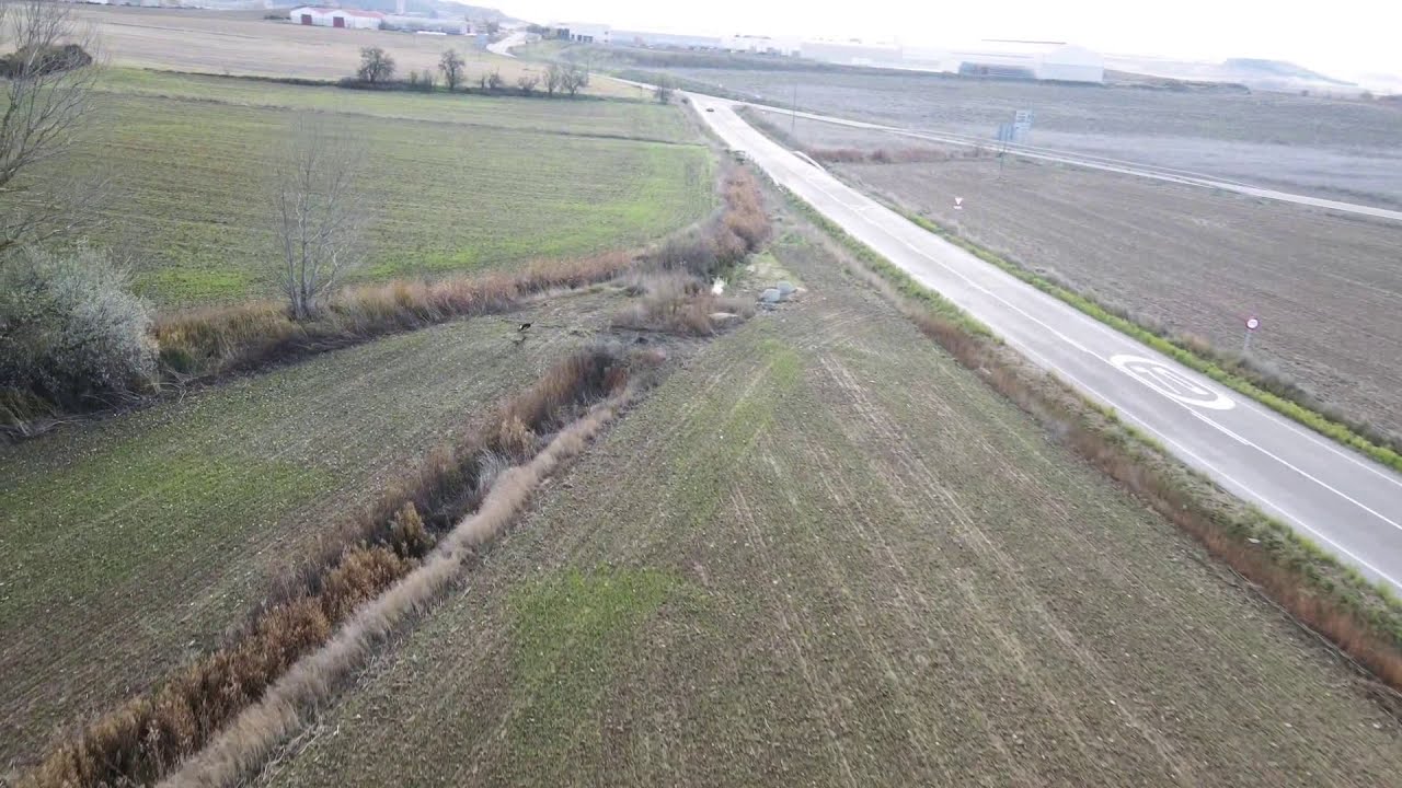 Carreras de galgos desde dron 2020-2021