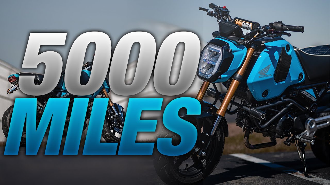 5,000 Mile Honda Grom REVIEW!! Why You SHOULD Get A Grom In 2025!