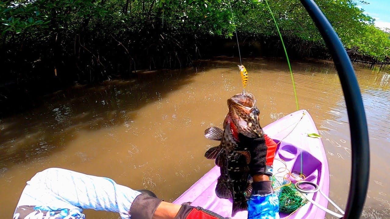 Kayak Fishing Sa Bakawan❗Catch and Cook