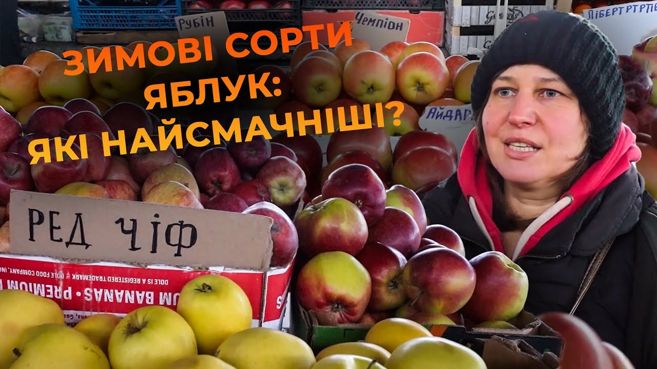 Найкращі сорти яблук, які витримають морози: як обрати, що приготувати та які ціни на ринку?
