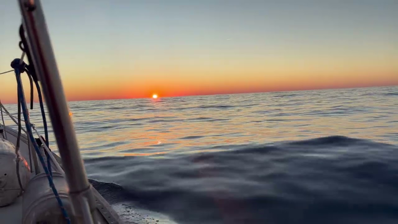 Dolphins at Sunset - Nov 2025