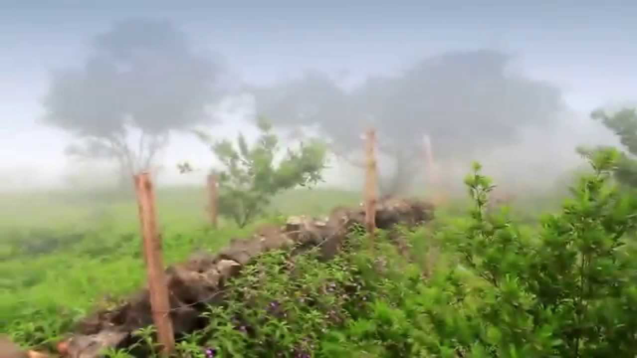 فيديو ترويجي لمنطقة حوف السياحية - اليمن