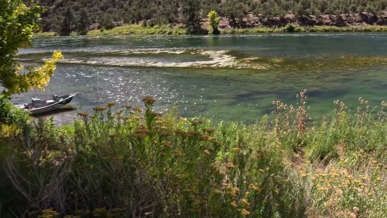 Enjoy 2 Hours Of The Stunning Green River | Sound of the River | Perfect for Sleep & Relaxation
