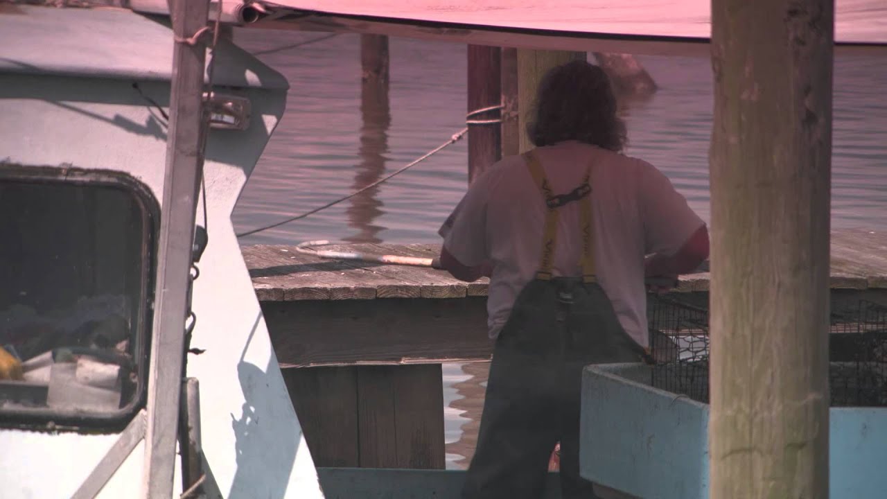Behind the Scenes: The Gulf Coast Crab Industry